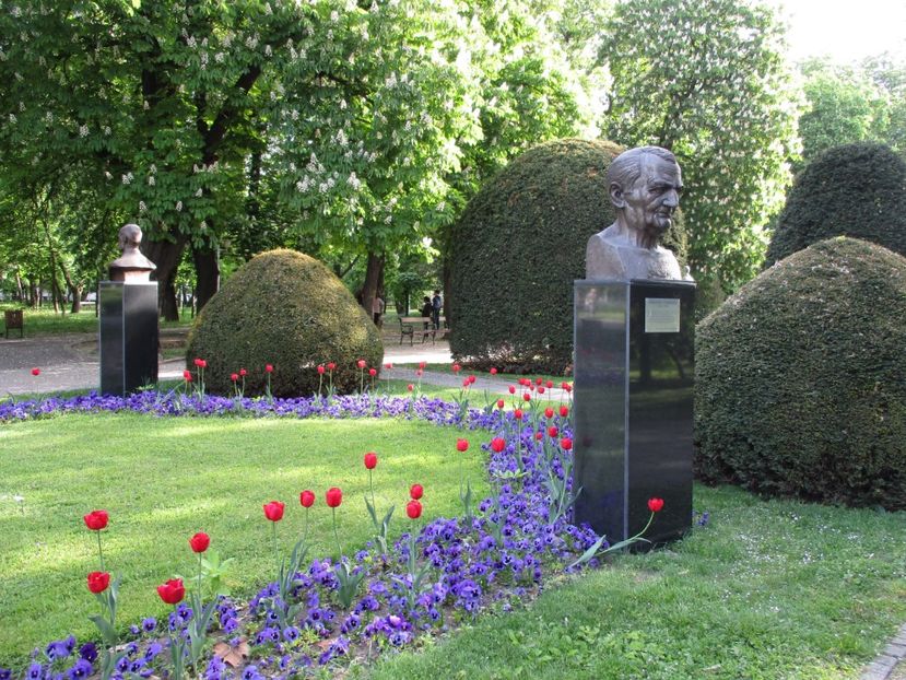  - 2017 - Timisoara - continuare