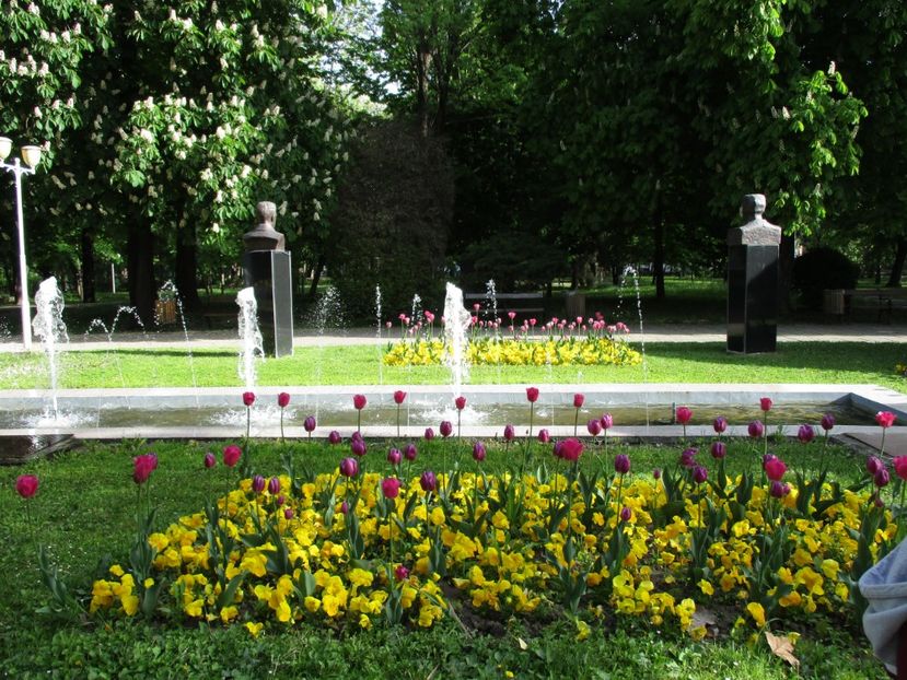  - 2017 - Timisoara - continuare