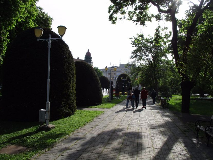  - 2017 - Timisoara - continuare