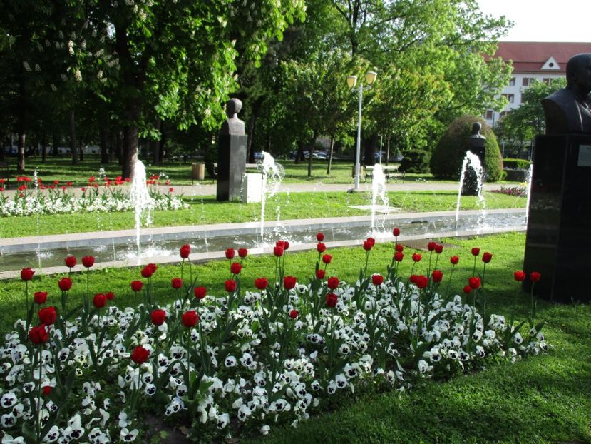  - 2017 - Timisoara - continuare