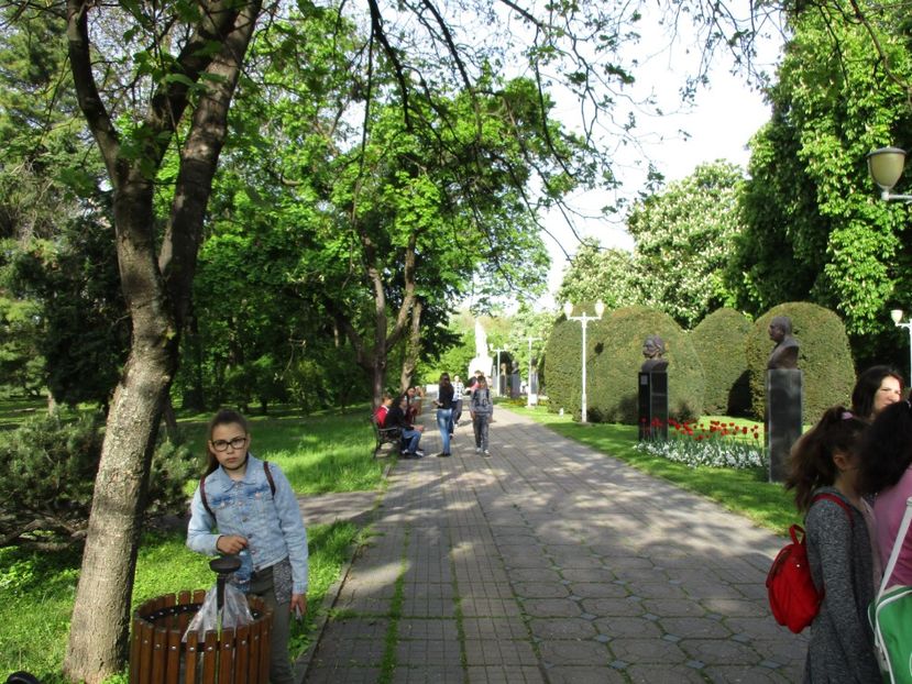  - 2017 - Timisoara - continuare
