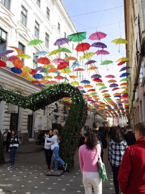  - 2017 - Timisoara - continuare