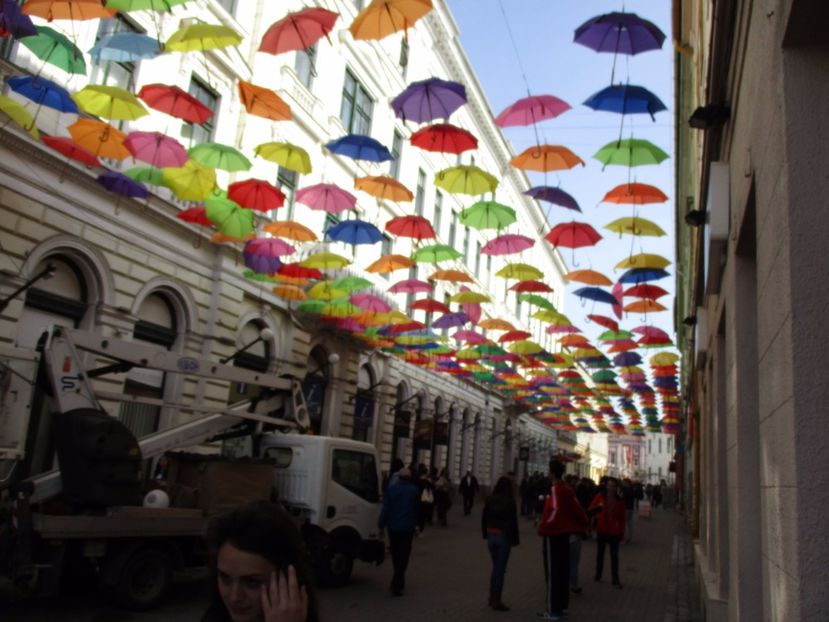  - 2017 - Timisoara - continuare