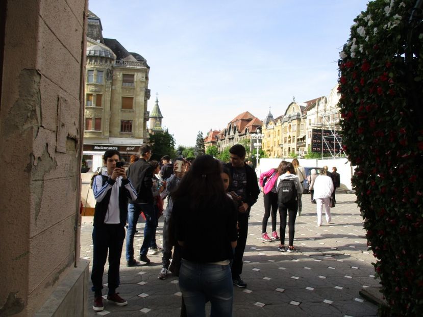  - 2017 - Timisoara - continuare
