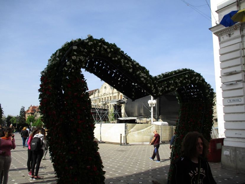  - 2017 - Timisoara - continuare