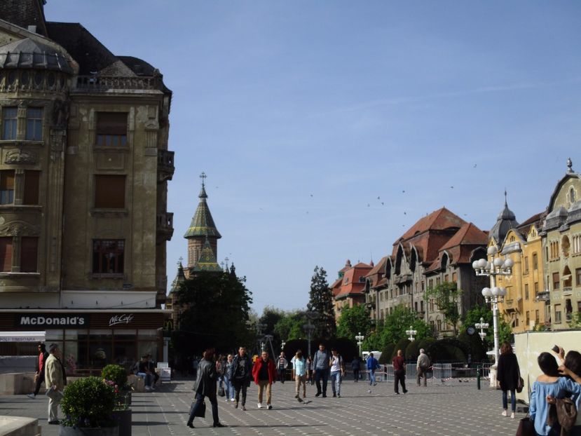  - 2017 - Timisoara - continuare
