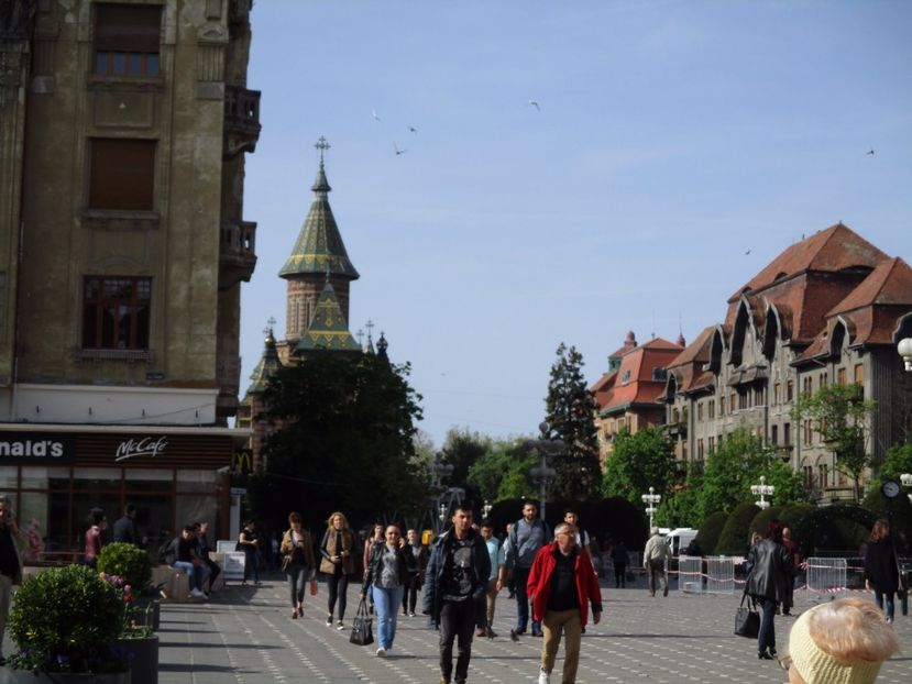  - 2017 - Timisoara - continuare