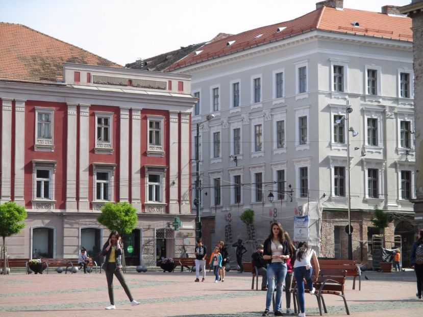 - 2017 - Timisoara - continuare
