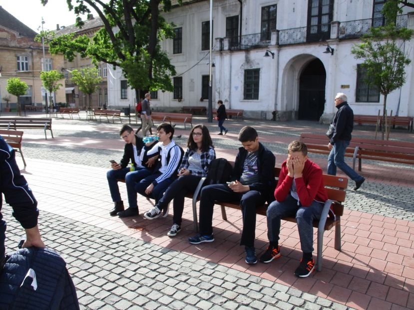  - 2017 - Timisoara - continuare