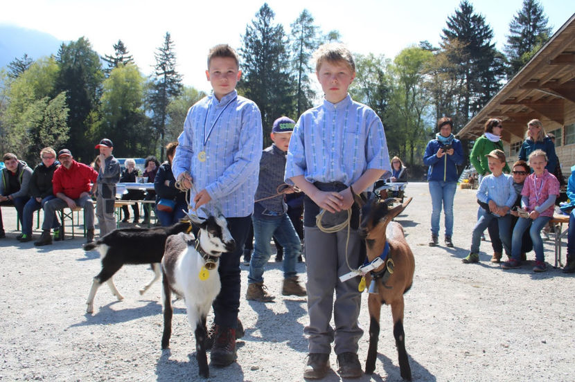 Copii bucurosi-3dp - Rase de oi si capre poze deosebite 13