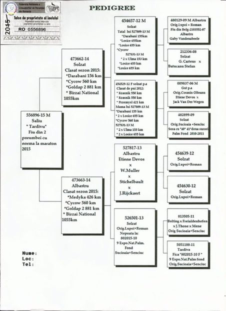 Pedigree M 2015 - 2017