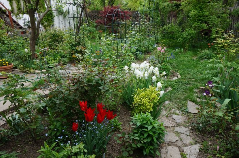  - 2017 Gradina