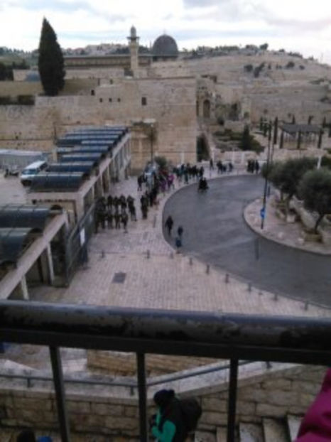  - poze de pe telefon