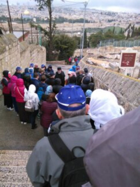  - poze de pe telefon