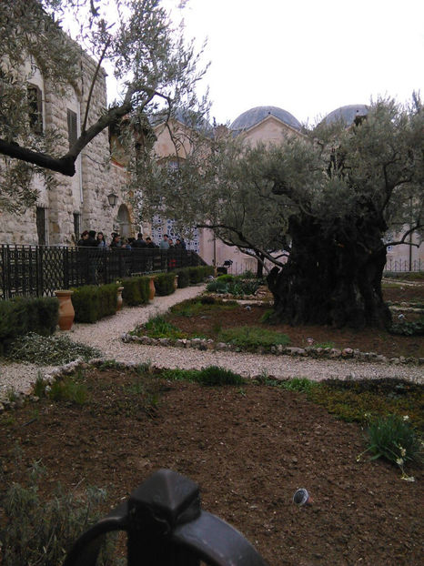  - poze de pe telefon