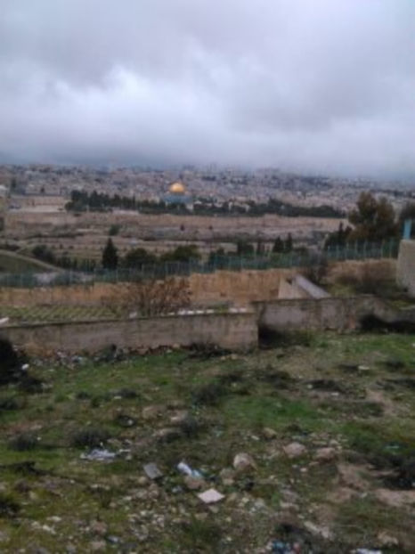  - poze de pe telefon