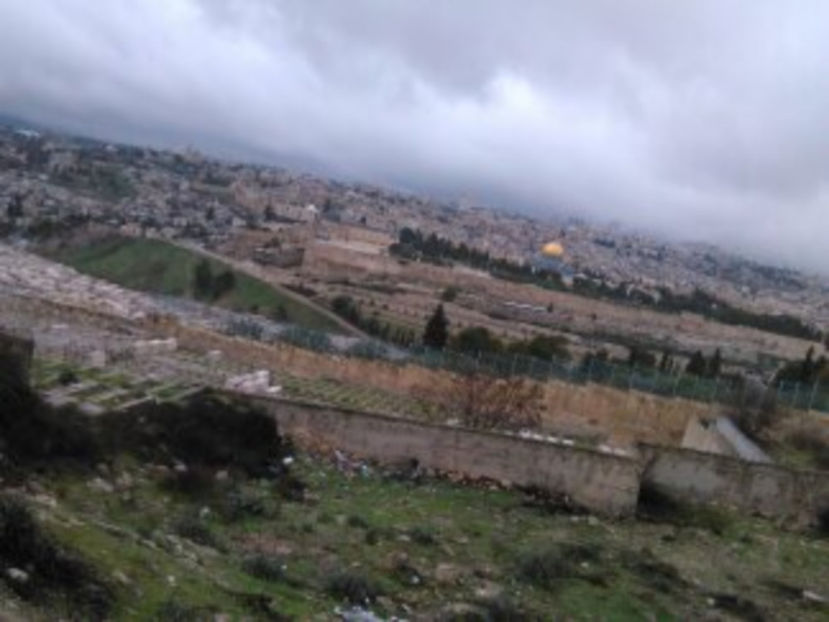  - poze de pe telefon