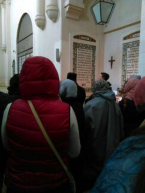  - poze de pe telefon