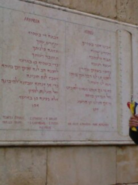  - poze de pe telefon