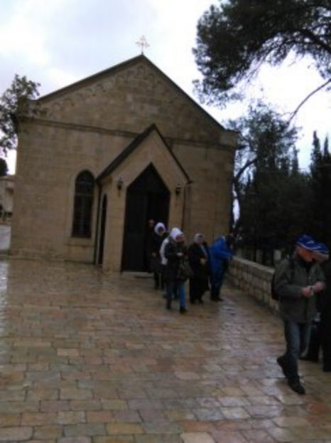  - poze de pe telefon