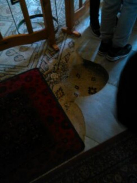  - poze de pe telefon