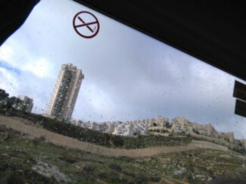  - poze de pe telefon