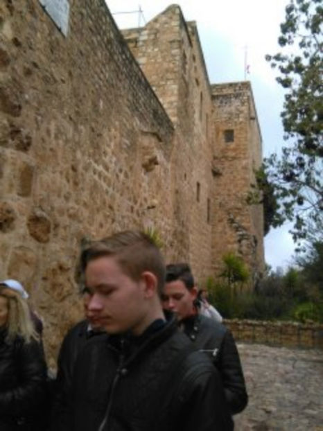  - poze de pe telefon