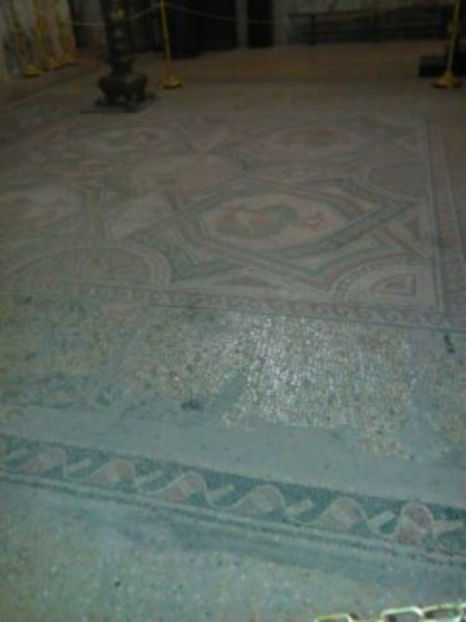  - poze de pe telefon