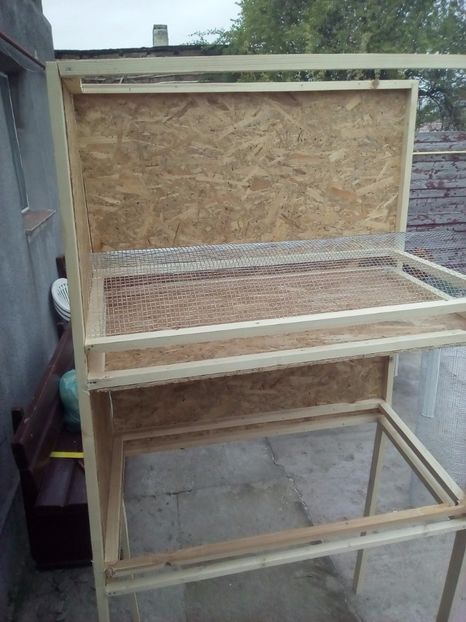  - maternitate pui pasari