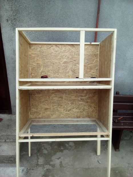  - maternitate pui pasari