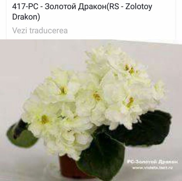 IMG-20170501-WA0352 - COLECTIE VIRTUALA violete