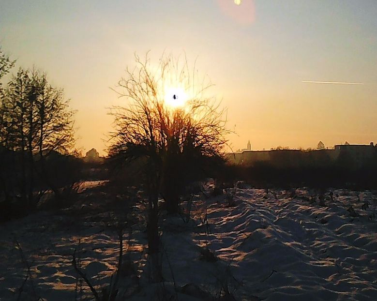 Nuovo_1_Photo4294 - Norii deasupra orasului