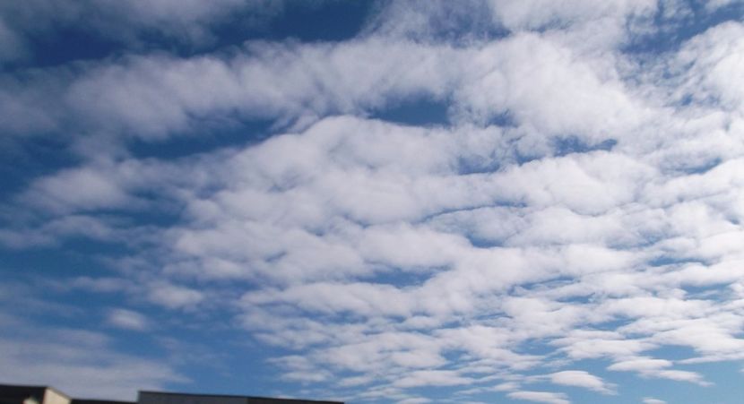 Nuovo_1_DSCF5167 - Norii deasupra orasului