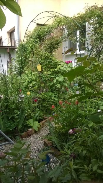 - Gradina 2017