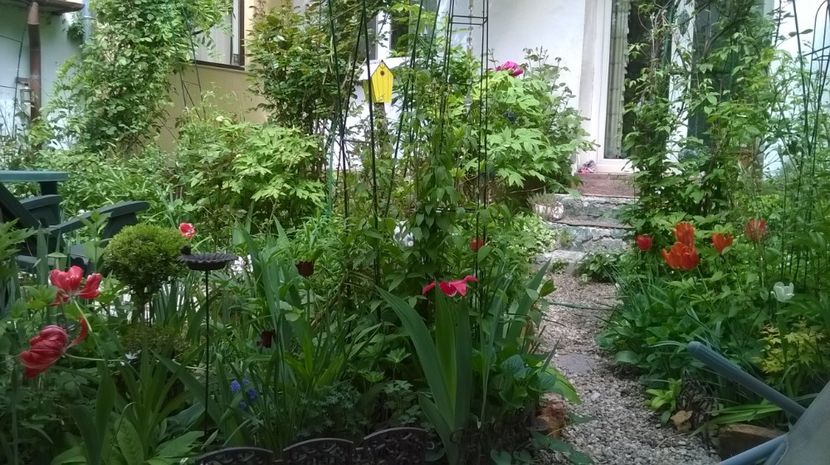  - Gradina 2017
