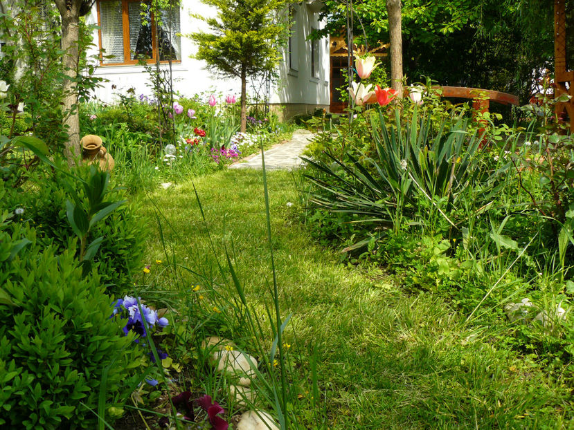 P1270356 - 2017 Mai_Gradina