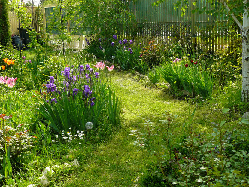 1 MAi - 2017 Mai_Gradina