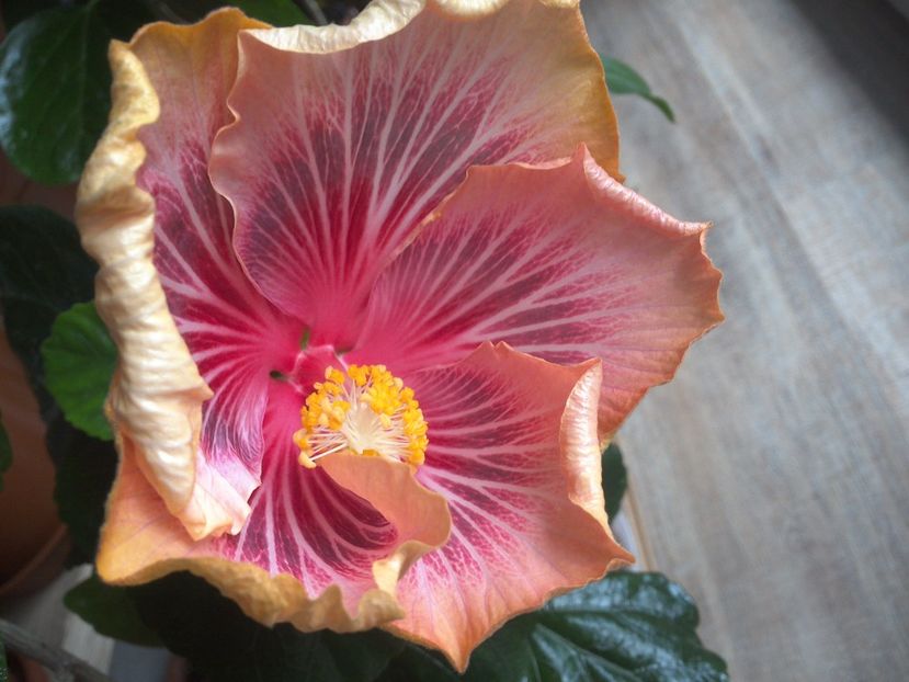 WIN_20170501_165008 - Barry Schlueter