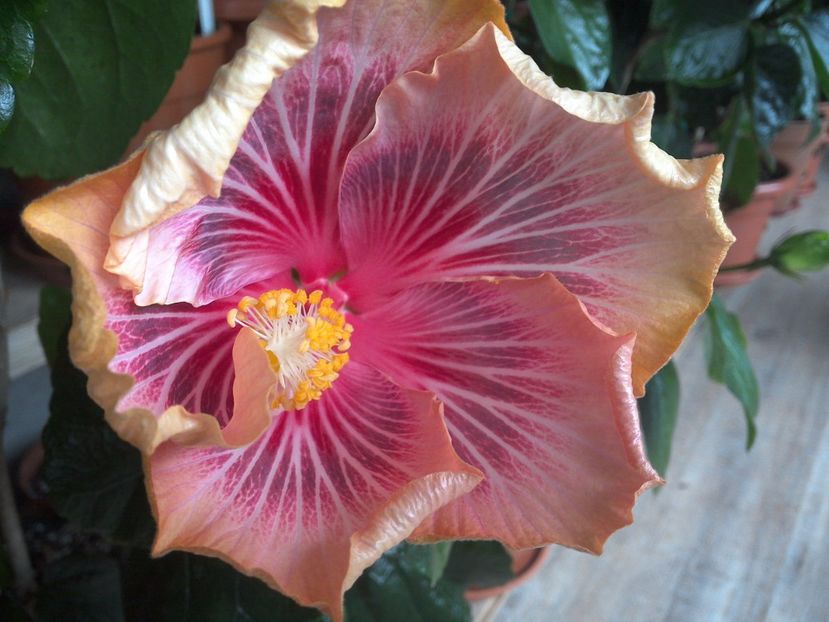 WIN_20170501_165032 - Barry Schlueter