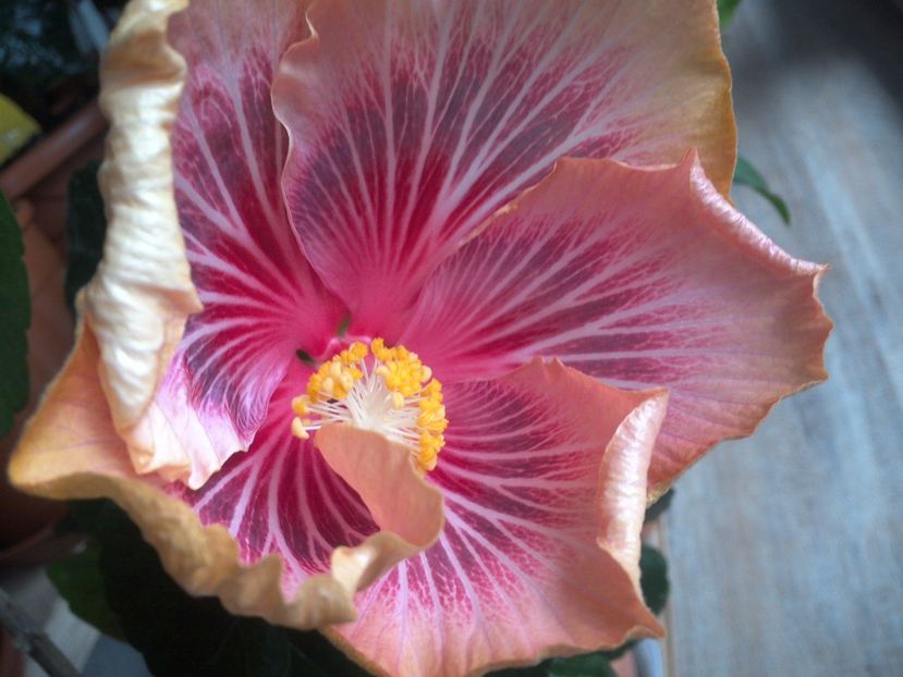 WIN_20170501_165125 - Barry Schlueter