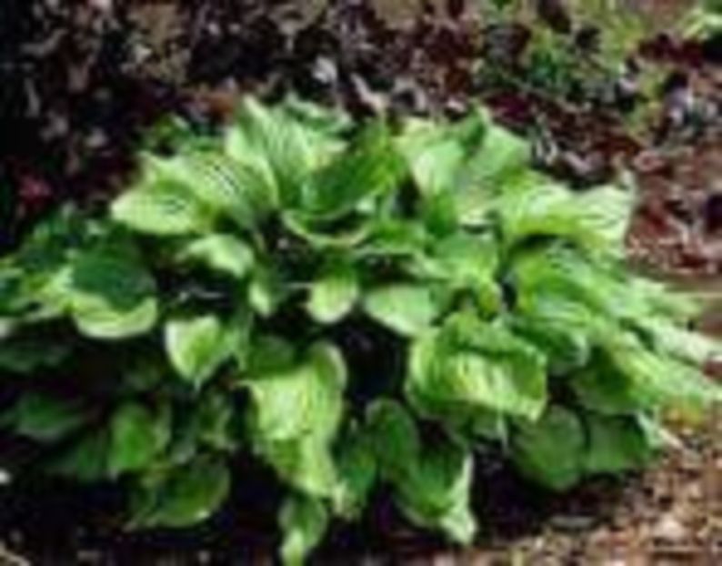 received_752704914895489 - Dau la schimb