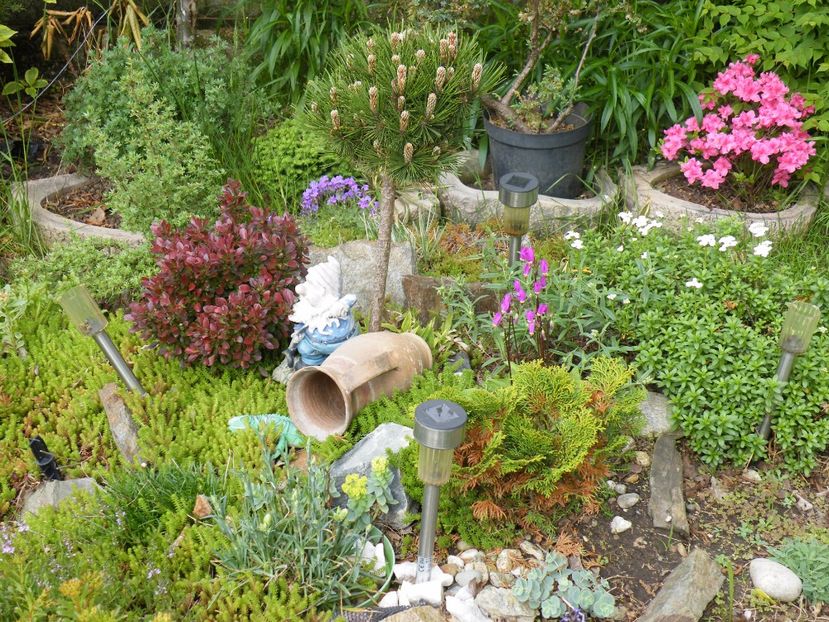  - 2017 in gradina mea