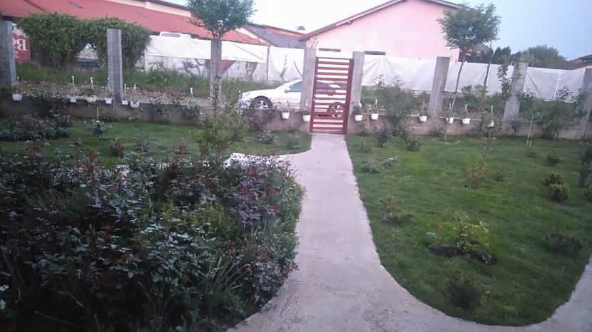 Gradina pe inserat - Diverse