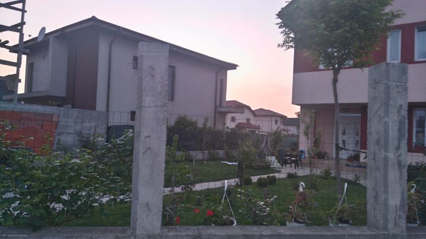 Vazuta din strada - Diverse