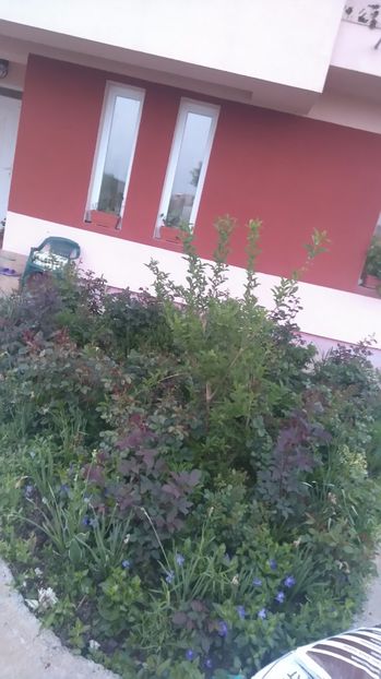 Sfarsit de aprilie - Diverse