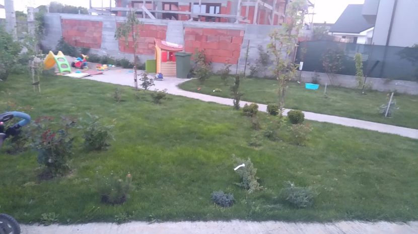 Prima zi din mai - Diverse