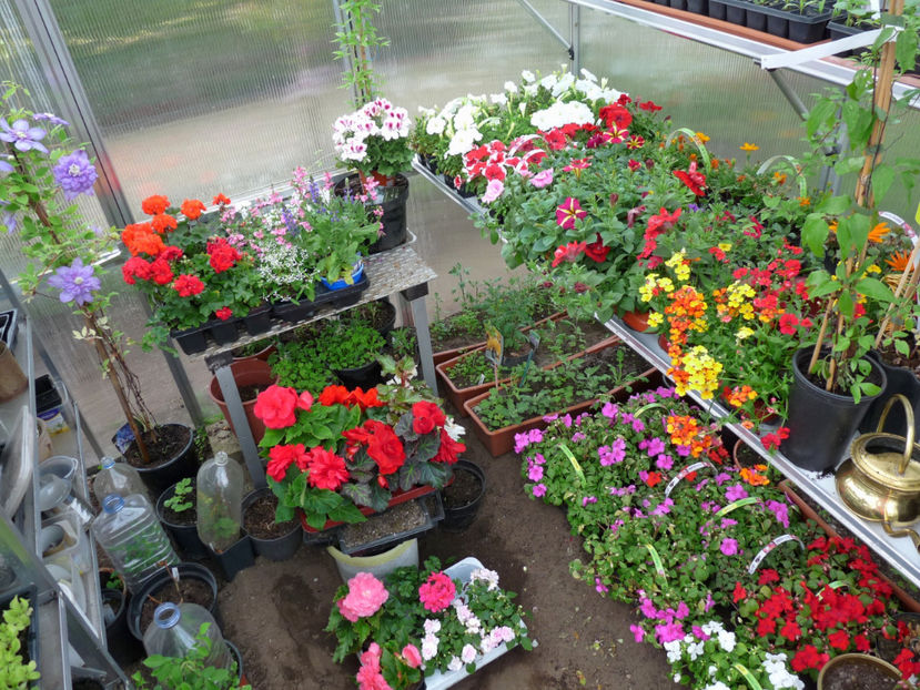 Tot mai asteptam dupa caldura! - 2017 - 01 - Primavara