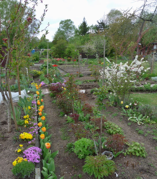 P2070849 - 2017 - 01 - Primavara