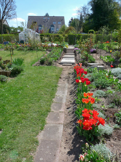 P2070888 - 2017 - 01 - Primavara