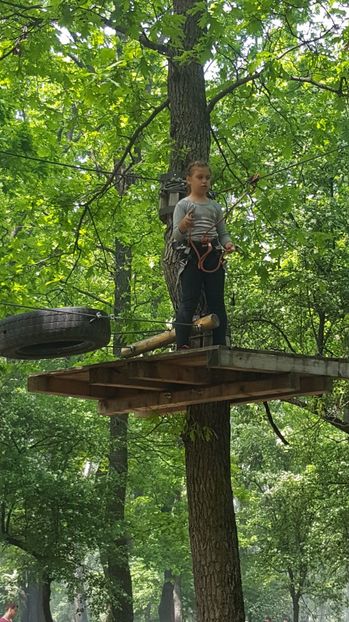 Cernica - 7 apartament 2003